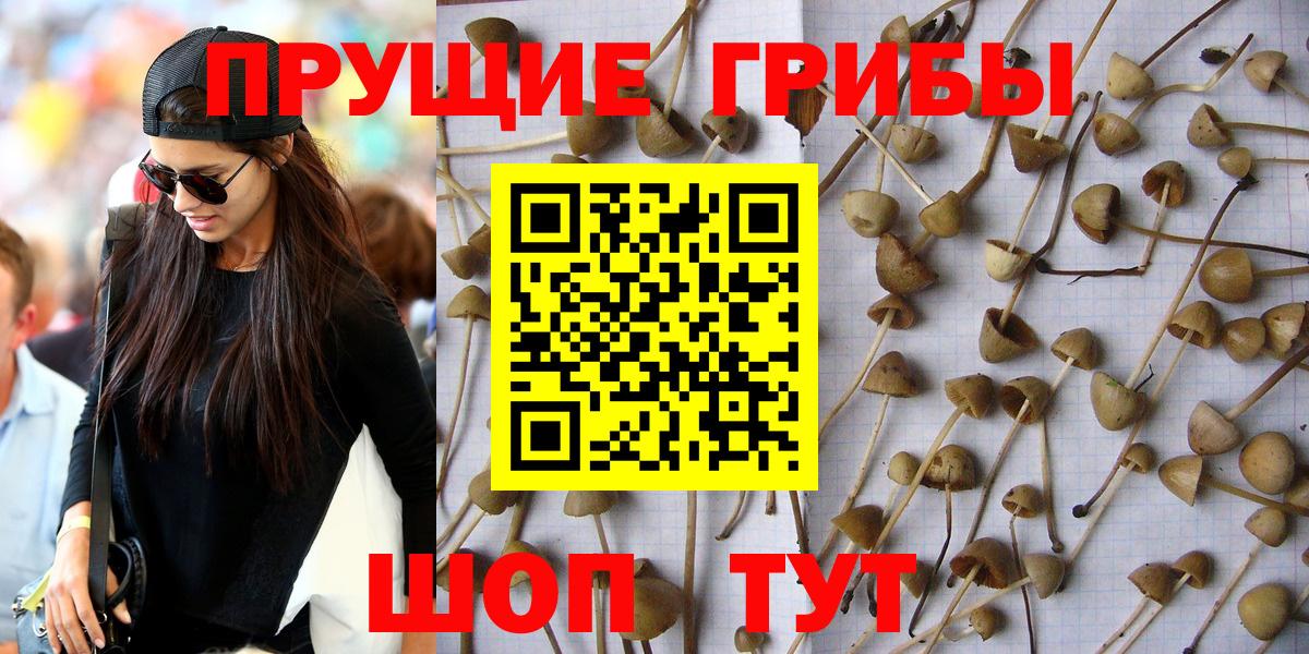 Псилоцибиновые грибы мухоморы Ливны